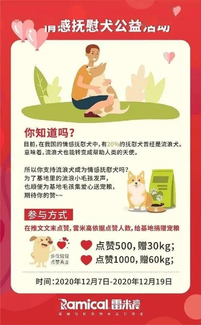 济南如何申请成为情感辅助犬