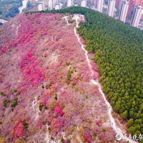 山东济南老年证如何注销