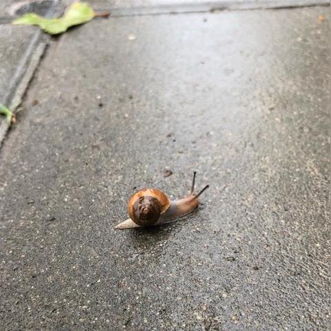 今天济南下雨景色如何