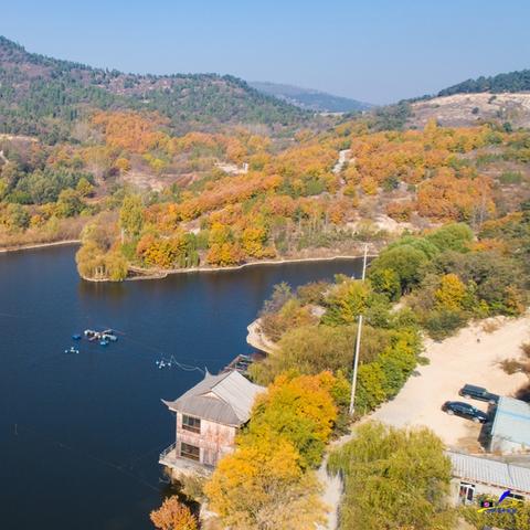 济南餐饮最近发展如何