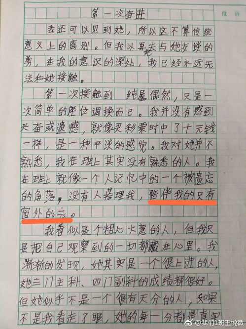 如何评价济南的作文800字